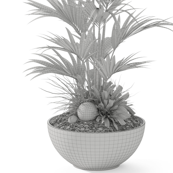 Plants collection 1056
