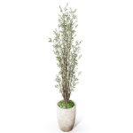 Plants collection 1057