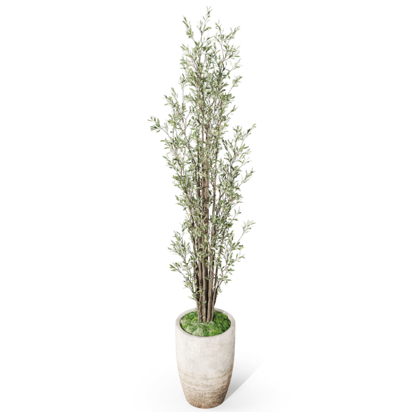 Plants collection 1057