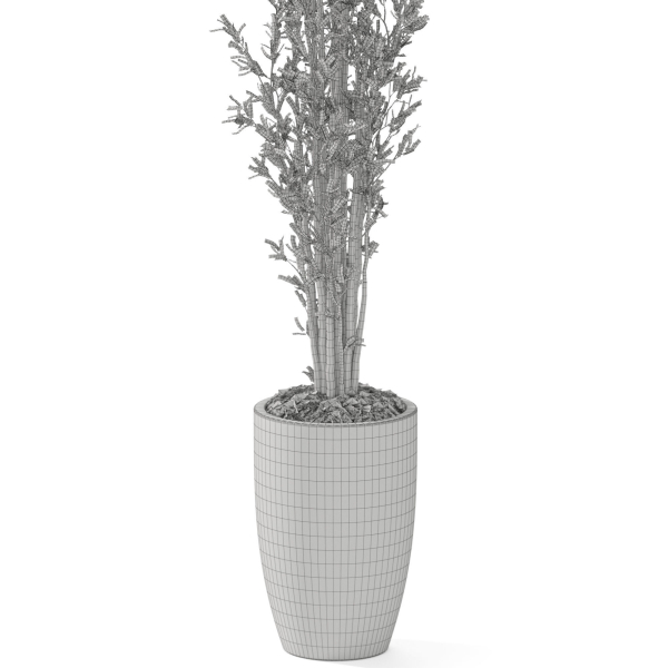 Plants collection 1057