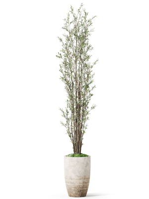plants-collection-1057-3d-model-8684e509e6