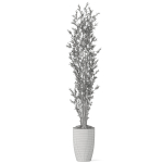 Plants collection 1057