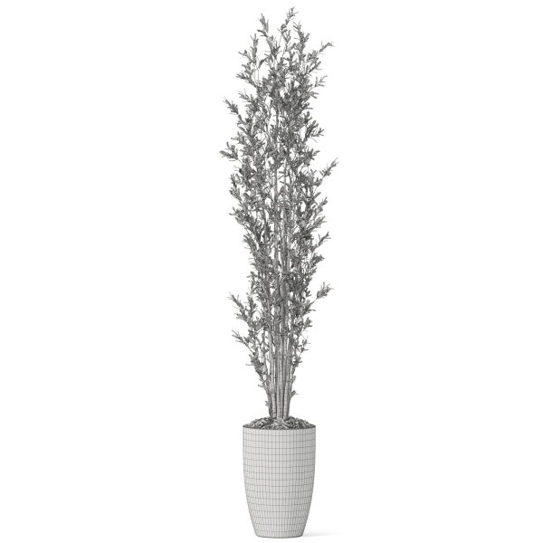 Plants collection 1057