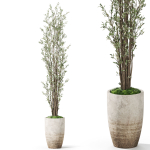 Plants collection 1057