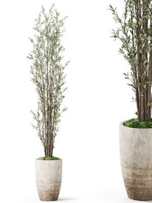 Plants collection 1057