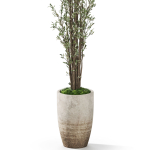 Plants collection 1057