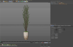 Plants collection 1057