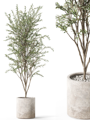 Plants collection 1058