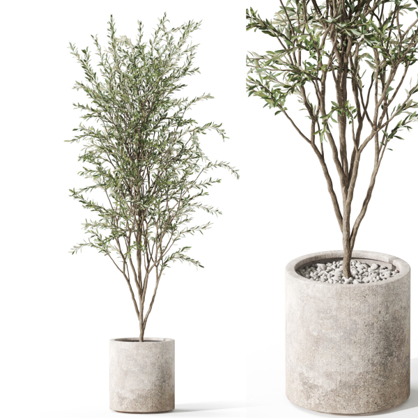 Plants collection 1058