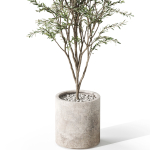 Plants collection 1058
