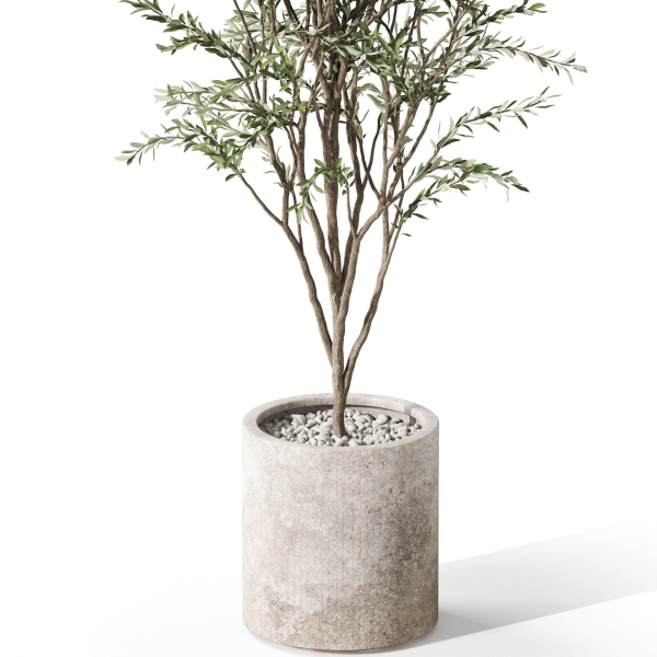 Plants collection 1058