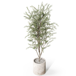 Plants collection 1058
