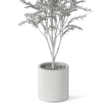 Plants collection 1058