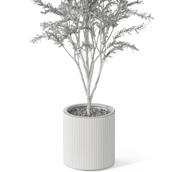 Plants collection 1058