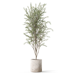 Plants collection 1058