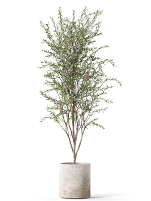 plants-collection-1058-3d-model-fa57011e06