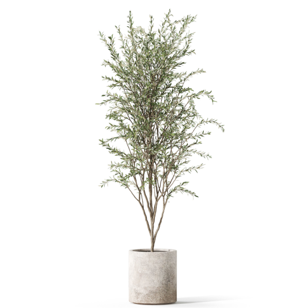 Plants collection 1058