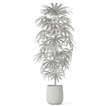 Plants collection 1059