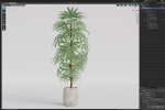Plants collection 1059