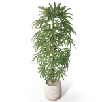 Plants collection 1059