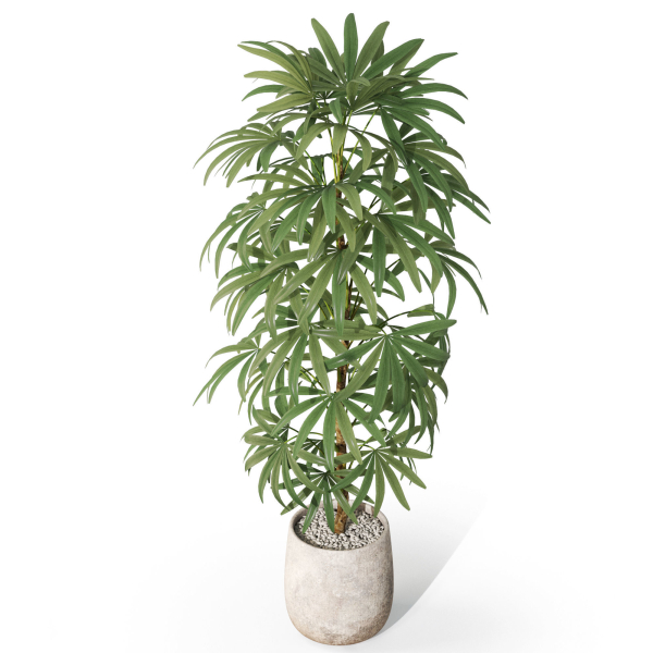 Plants collection 1059