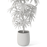 Plants collection 1059