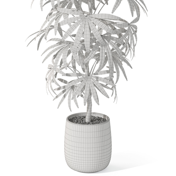 Plants collection 1059