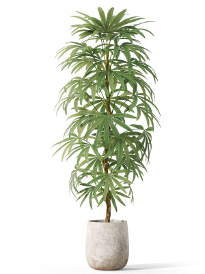 plants-collection-1059-3d-model-c14c39a11e