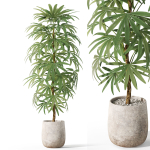 Plants collection 1059