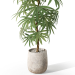 Plants collection 1059