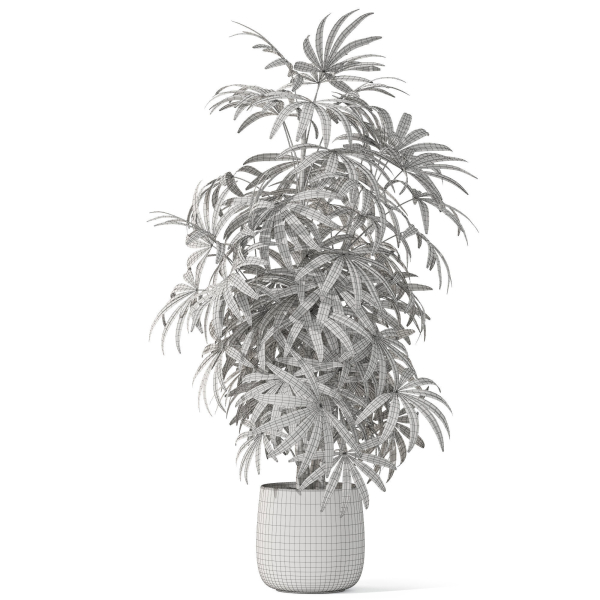 Plants collection 1060