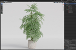 Plants collection 1060