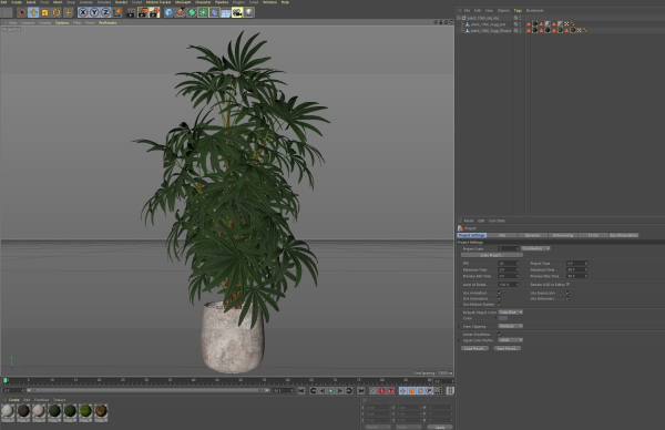 Plants collection 1060