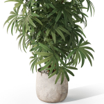 Plants collection 1060