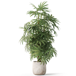 Plants collection 1060