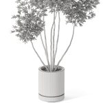 Plants collection 1061
