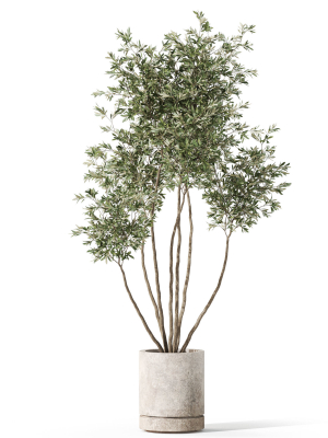 plants-collection-1061-3d-model-401ec3a465