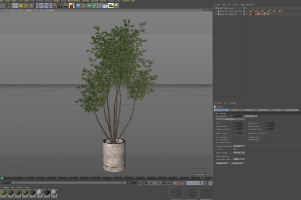 Plants collection 1061