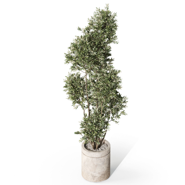 Plants collection 1062