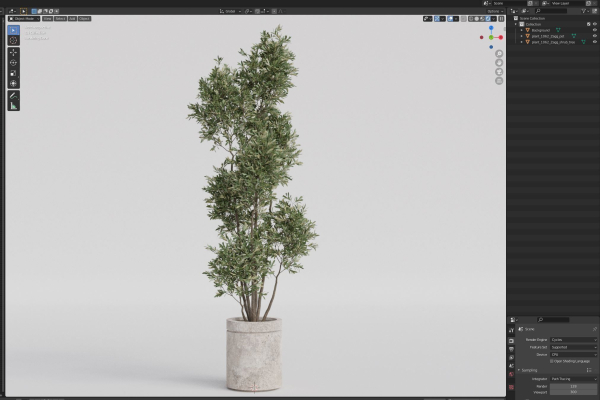 Plants collection 1062