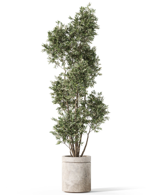 plants-collection-1062-3d-model-87bd912553