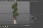 Plants collection 1062