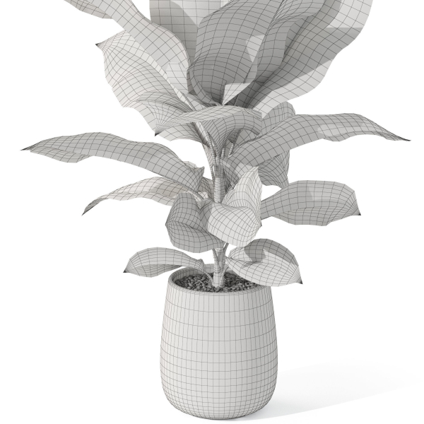 Plants collection 1063