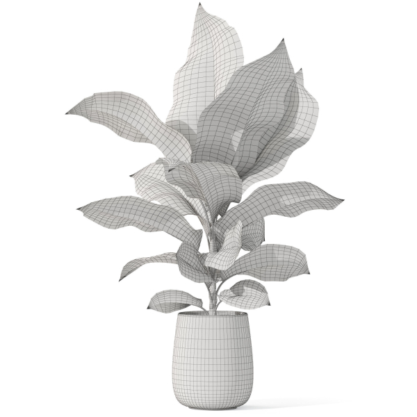 Plants collection 1063