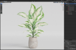 Plants collection 1063