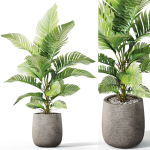 Plants collection 1064