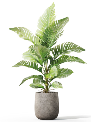 plants-collection-1064-3d-model-3d097873e8