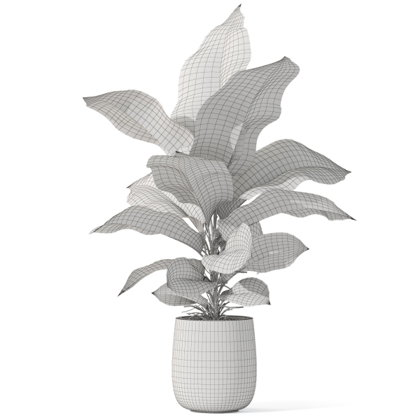Plants collection 1064