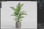 Plants collection 1064