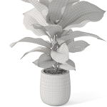 Plants collection 1064